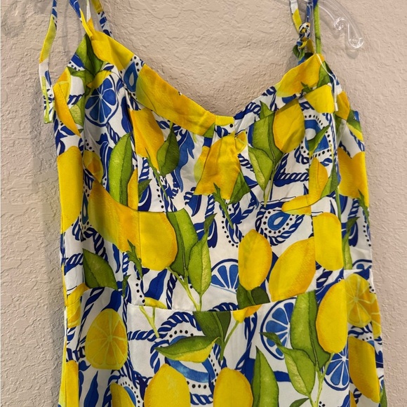 Kenny flowers Amalfi NWT-lemon print resort dress with elastic back - Picture 7 of 13
